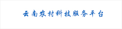 云南农村科技服务平台
