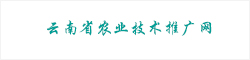 云南省农业技术推广网